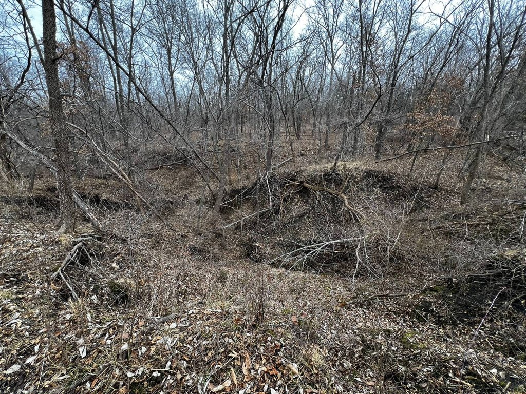 Picture 19
