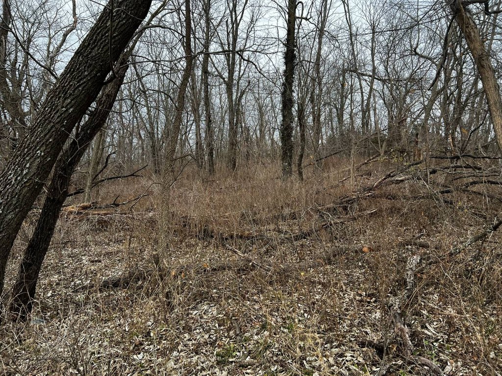 Picture 5