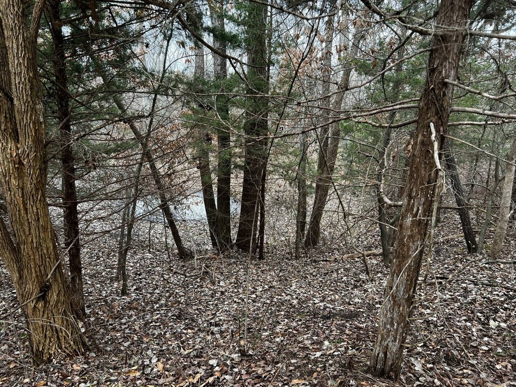 Picture 13