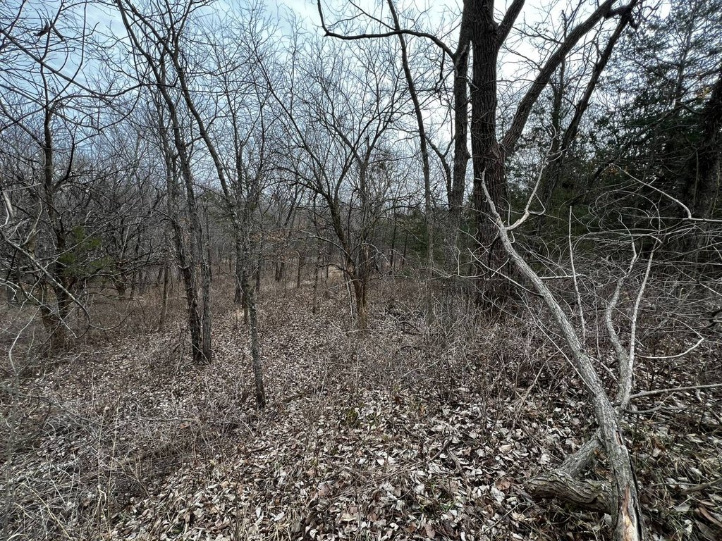 Picture 30