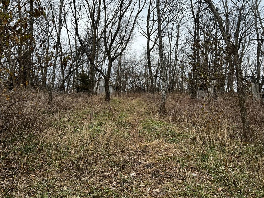 Picture 4