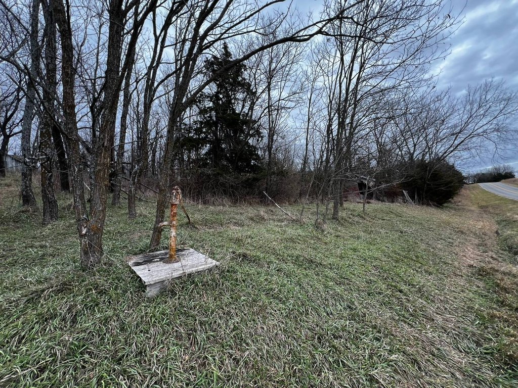 Picture 35