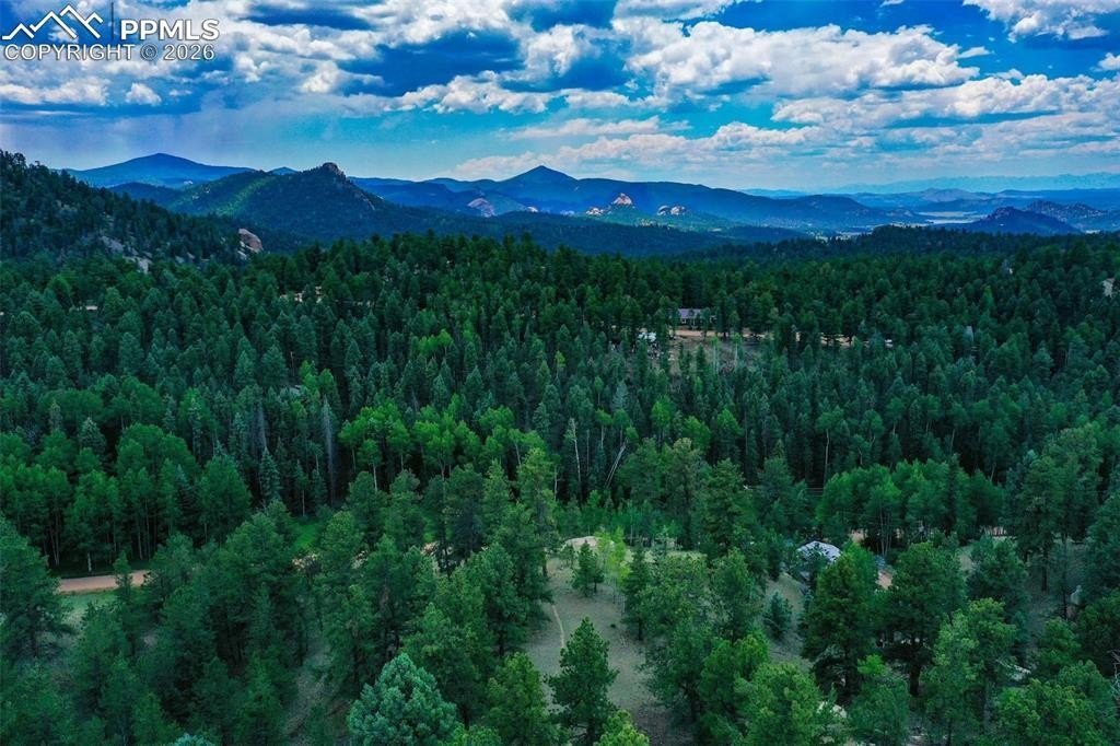 Wooded Lot in Mountain Neighborhood