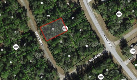 LAND - Dunnellon, FL