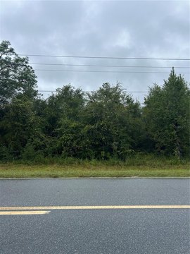 Land, BRONSON, FL