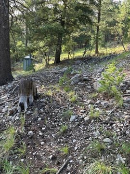 LAND - Cloudcroft, NM