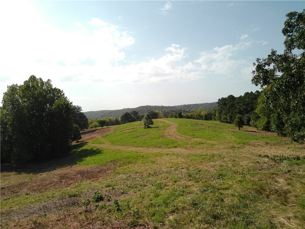 Picture 26