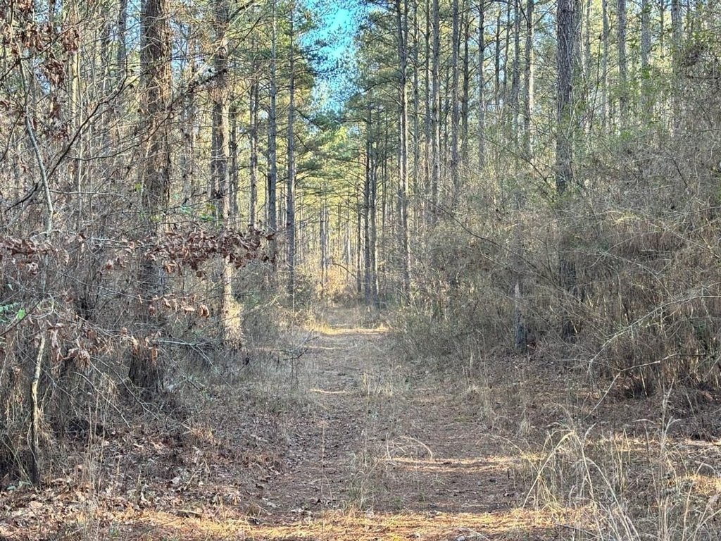 Picture 17