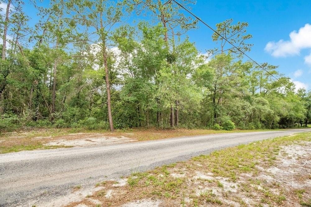 Picture 5