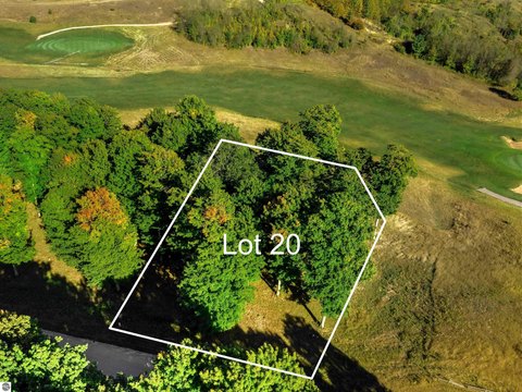 Beulah, MI Wooded Lot