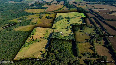 Farmland with Pasture and Woods