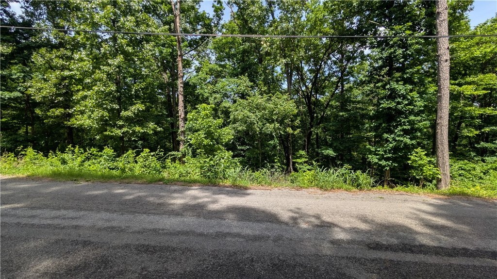 Picture 6