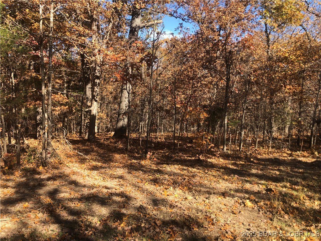 Versailles Land for Sale