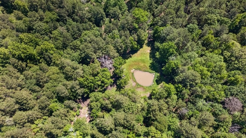 50 Acres in Palestine, TX