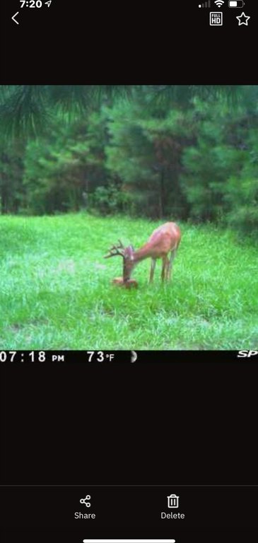 Picture 22