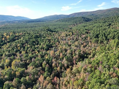 Mena, AR Acreage For Sale