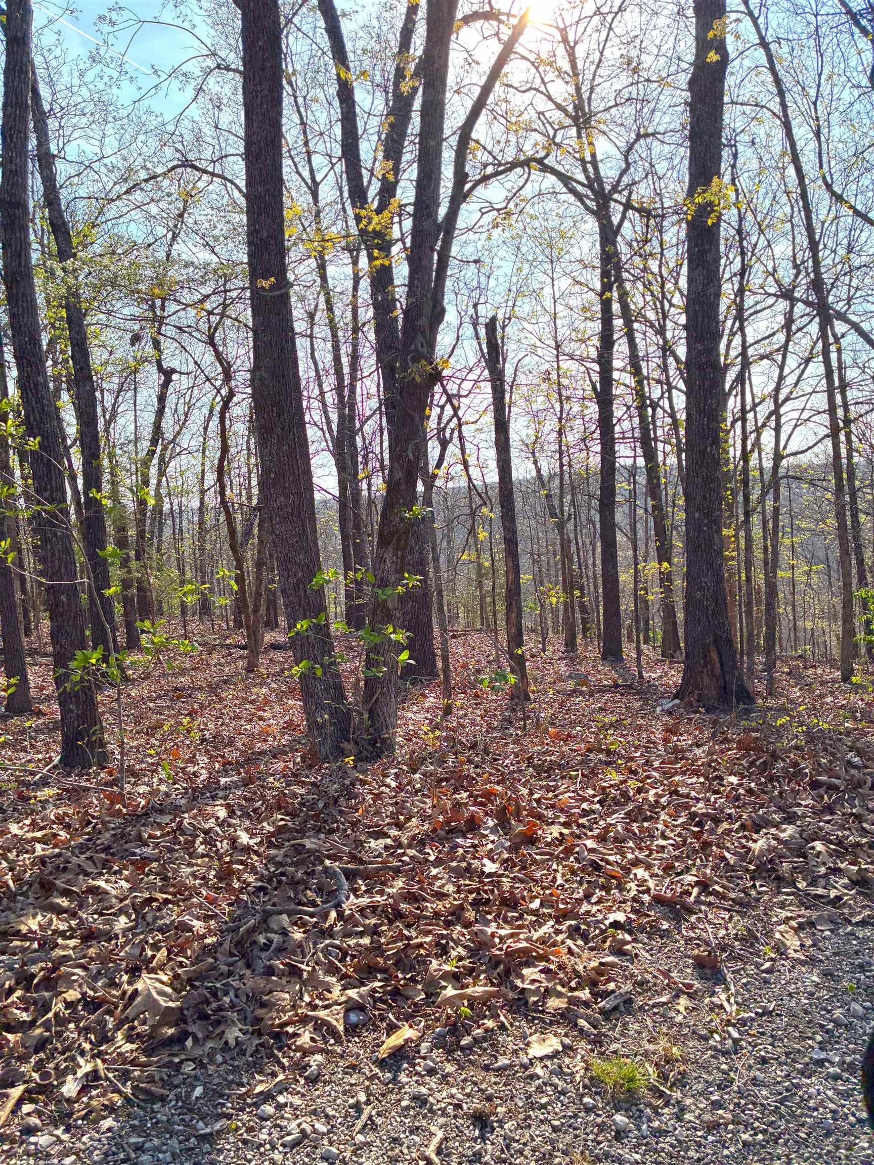 Residential Lot in Cherokee Village