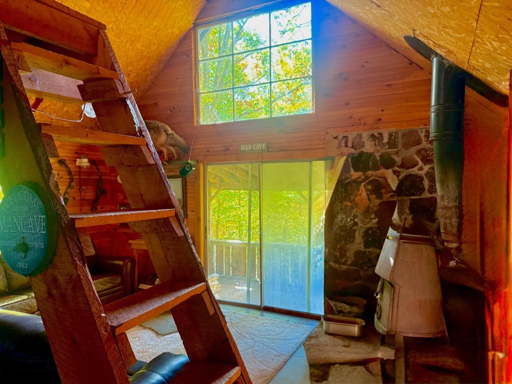 Picture 17