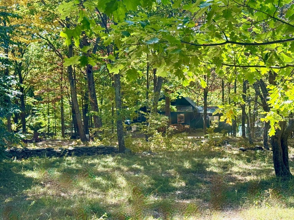 Picture 13
