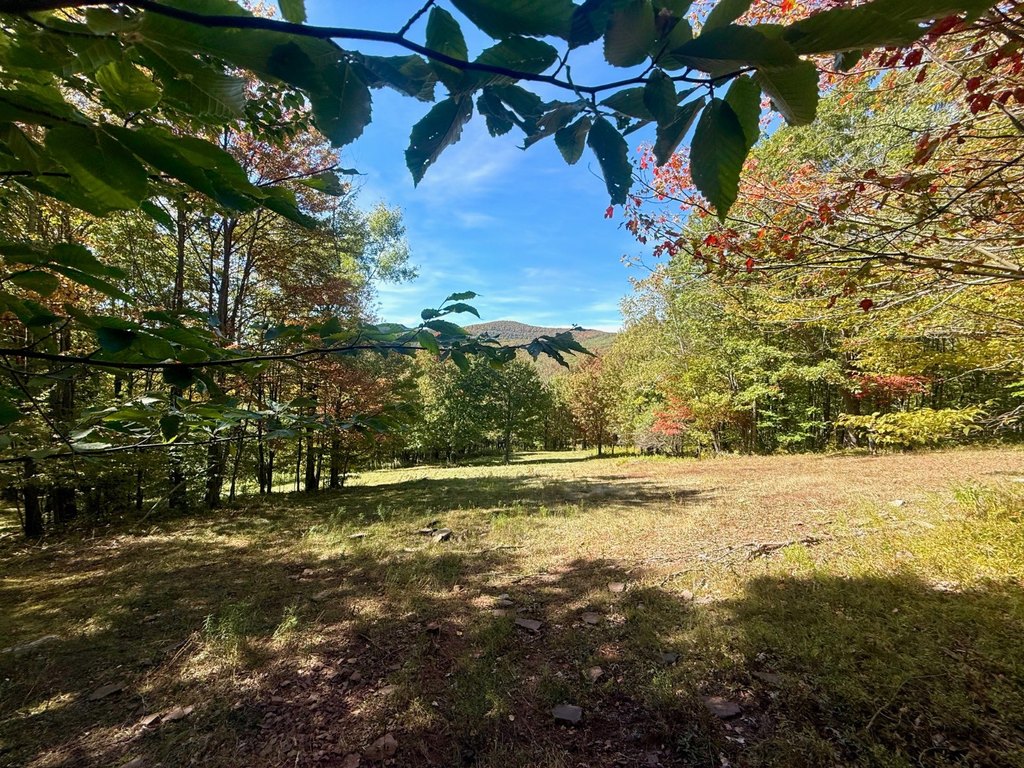 Picture 23