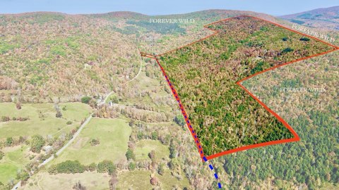 Hunting Land with Off-Grid Cabin
