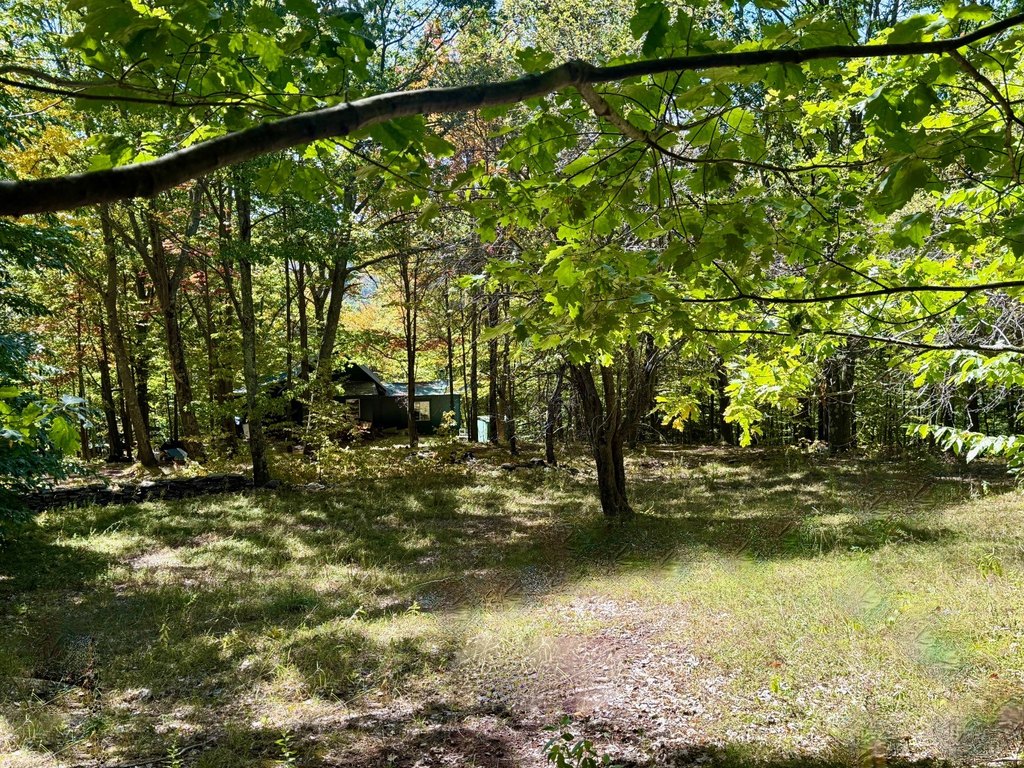 Picture 39