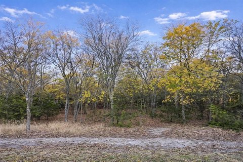 Spacious Homesite in Growing Community