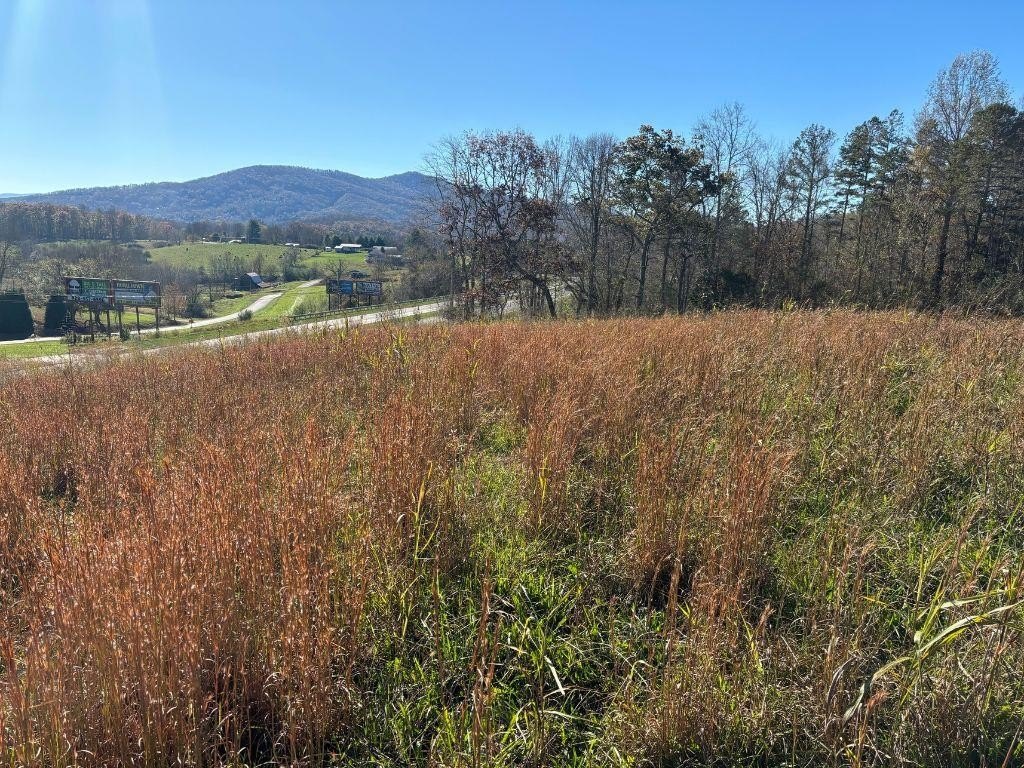 Prime Corner Acreage For Sale