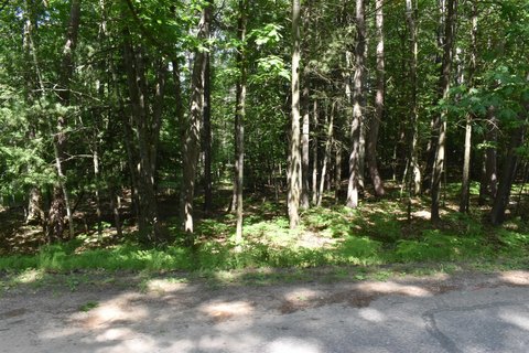 Wooded Lot in Sugar Springs