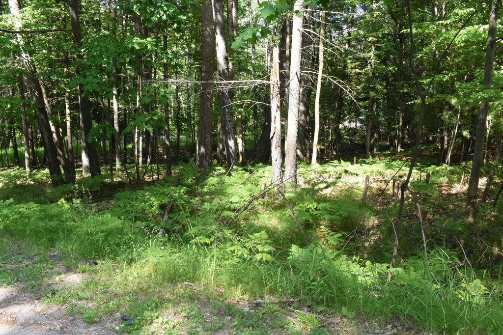 Picture 8