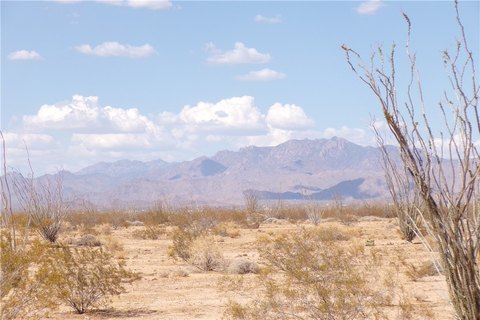 LAND - Yucca, AZ