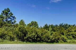 Picture 21