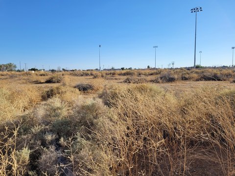 Residential Lot Near Balsitis Park