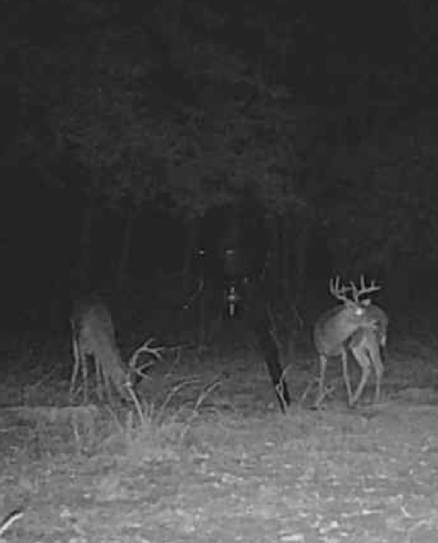Picture 39
