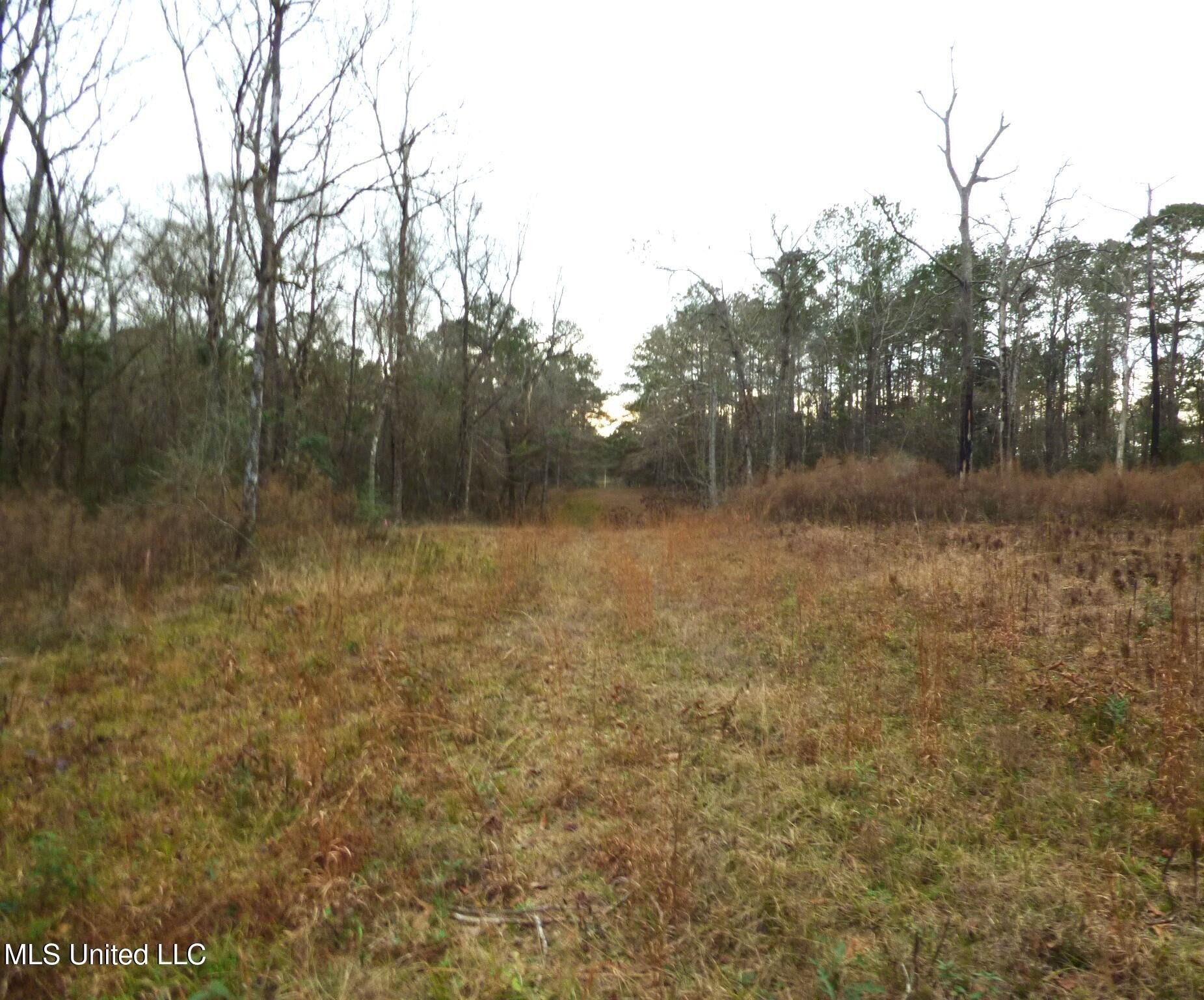 2.63 Acre Lot in Magnolia