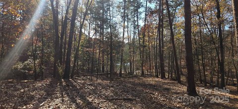 Lake Wylie Waterfront Land Opportunity