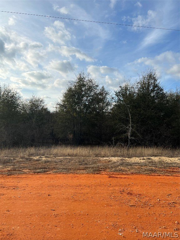 Land in Miller's Ferry Area