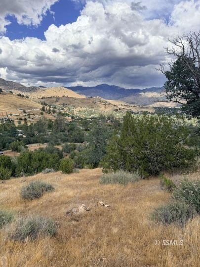 Picture 22