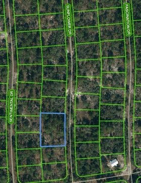 Land in Lake Placid, FL