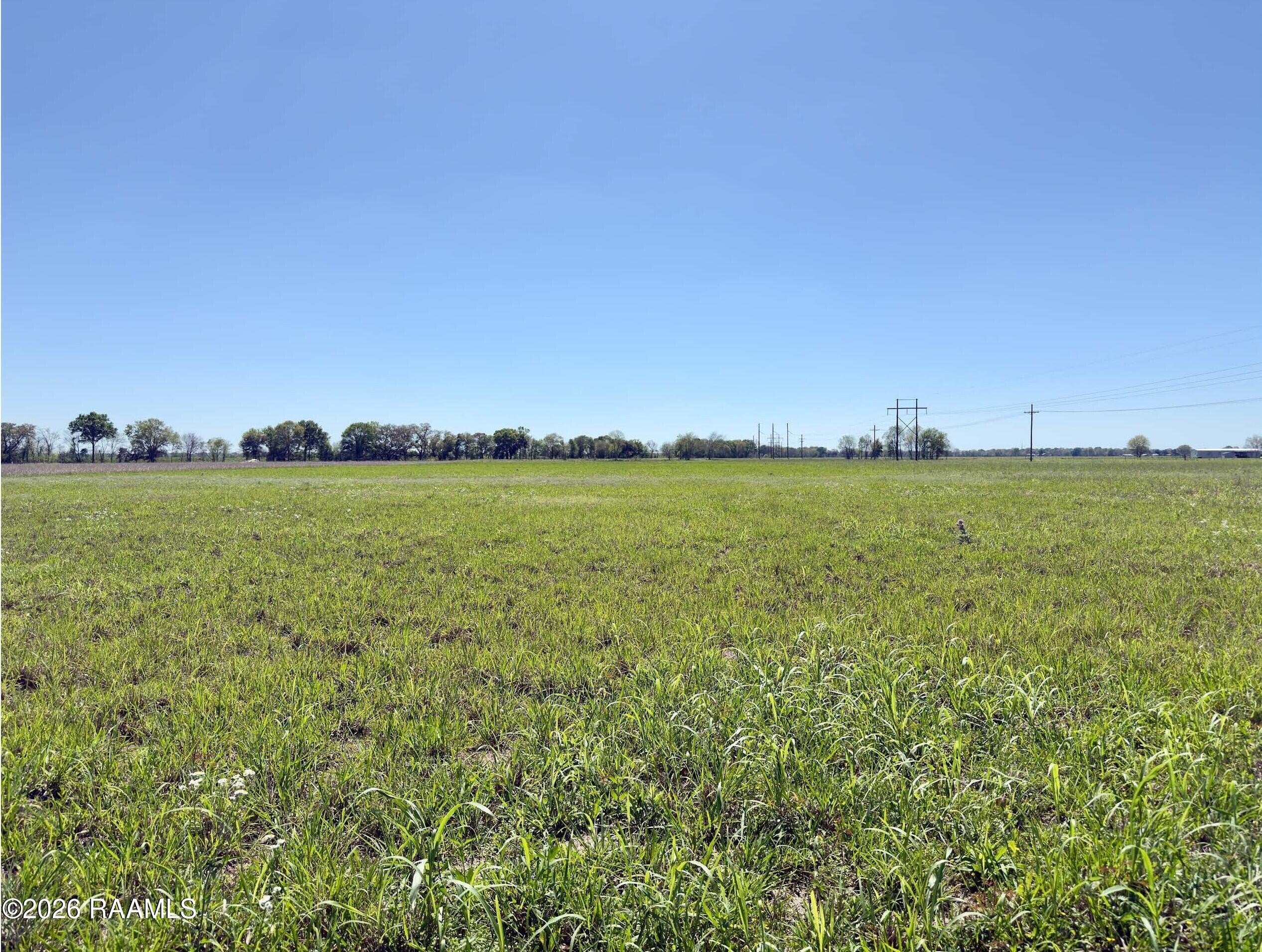 Residential Land in Rayne, LA