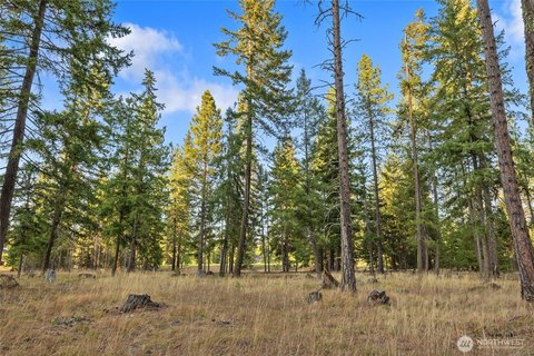 Tumble Creek Homesite Opportunity