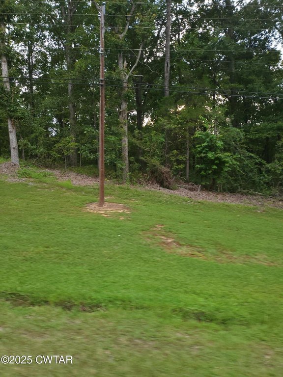 Picture 12