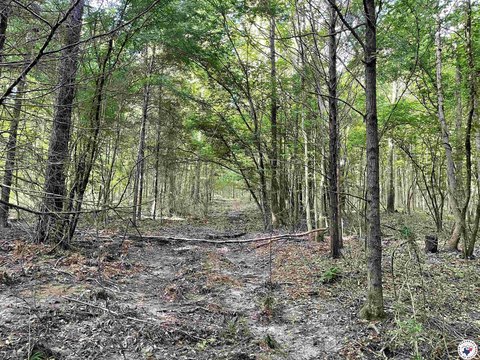 East Texas Land Opportunity