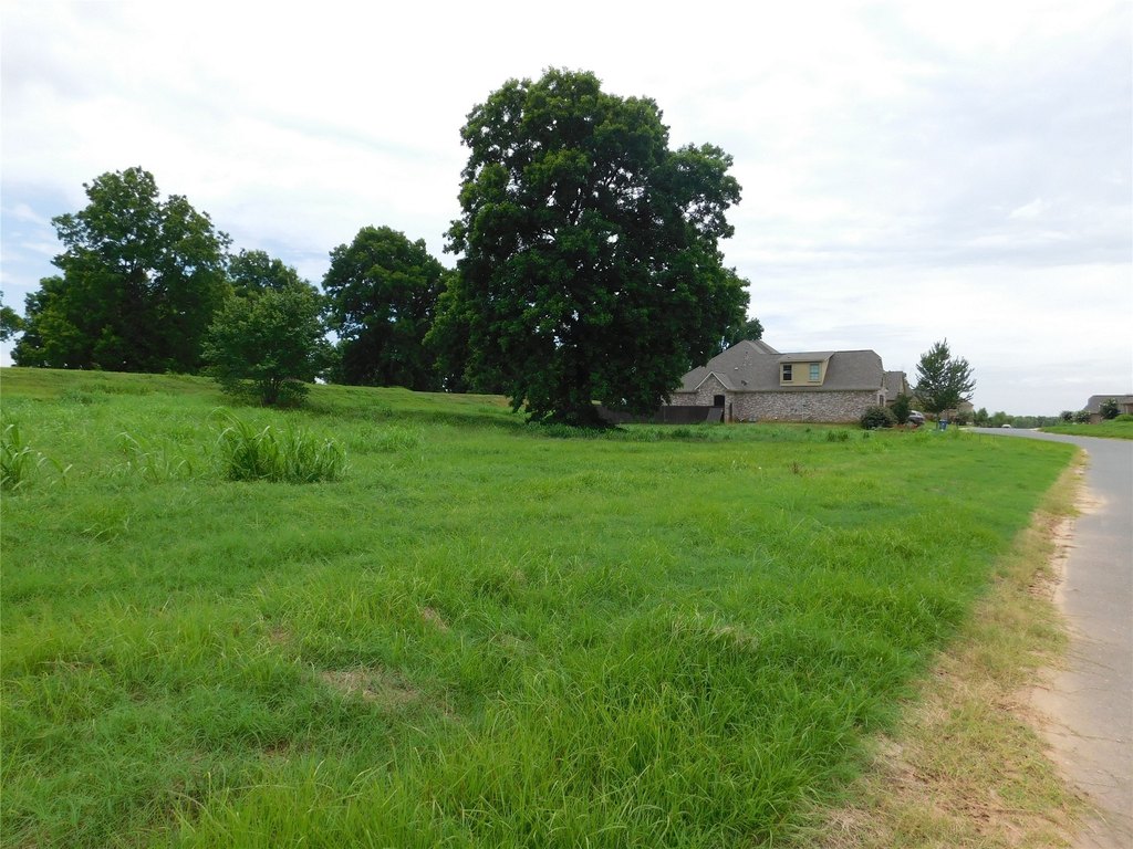 Picture 2