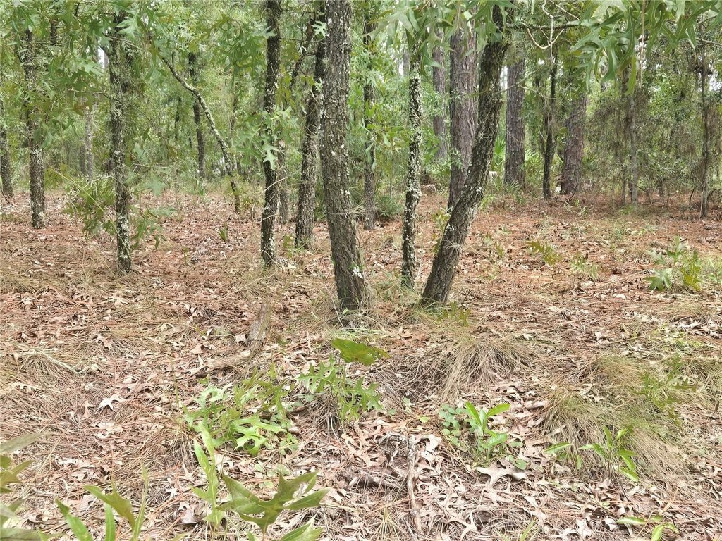 Picture 4