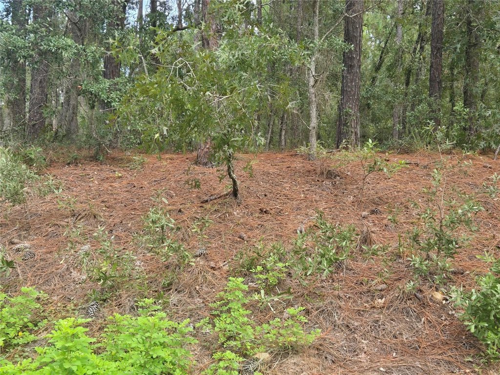 Picture 10