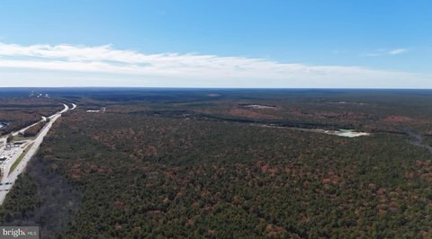 Wooded Lot in Forked River