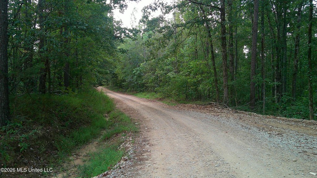 Picture 3