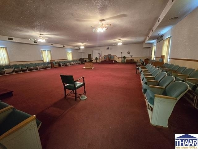 Picture 21