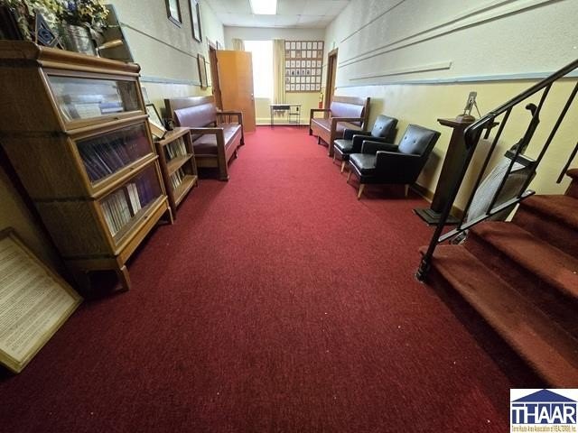 Picture 20